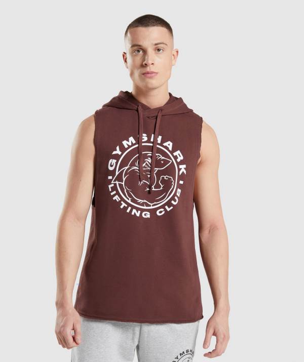 Panske Mikiny S Kapucňou Gymshark Legacy Drop Arm Ruzove Hnede | KI7538290